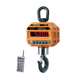 Весы крановые CAS 2 THD (TW-100)